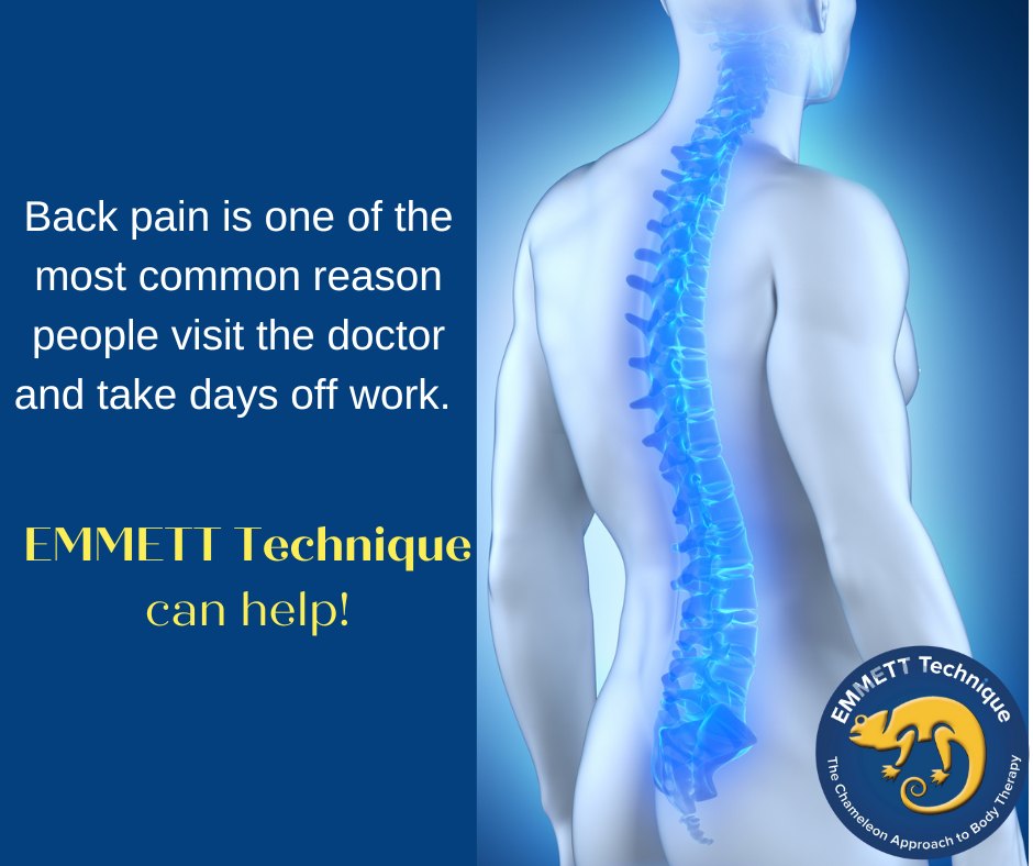 489450856_1277711924070214_8390441590984222387_n